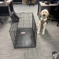 Large Wire Dog Crate