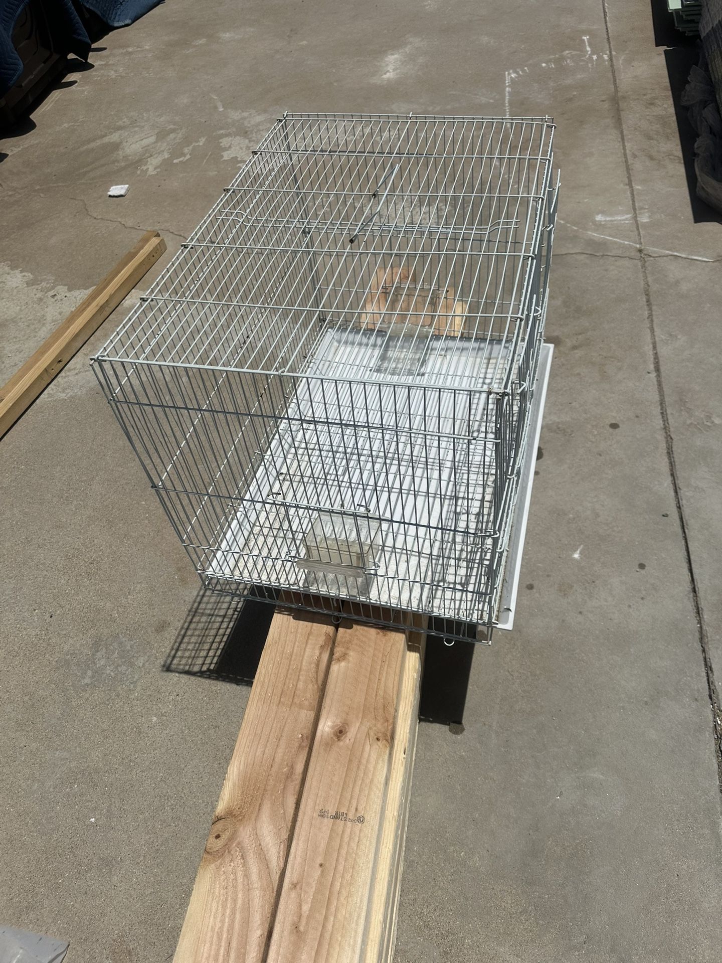 white bird cage 