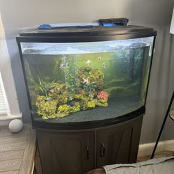 Fish tank & Accessories 