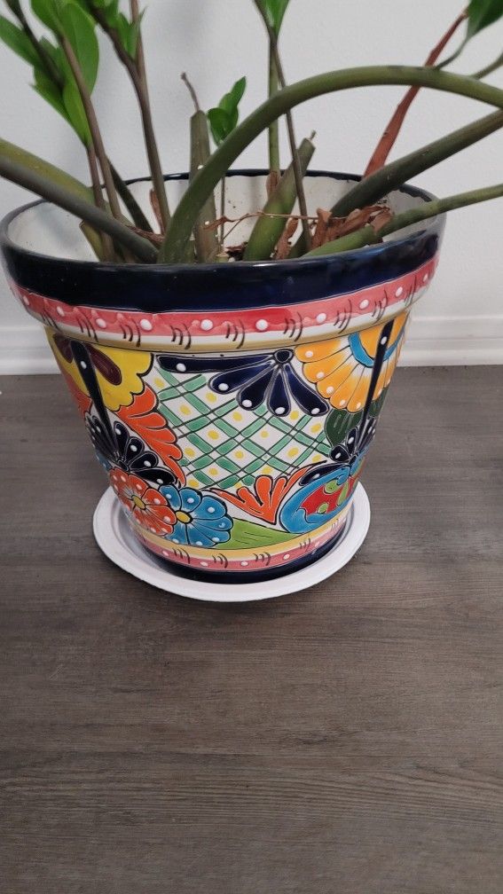 Talavera Pot With Plant