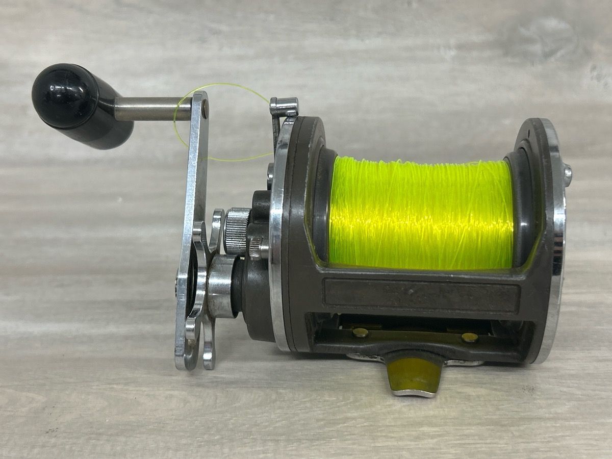 Daiwa Sealine SG50H Powermesh Drive Conventional Fishing Reel (PO1021463)