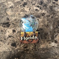 Florida Snowglobe