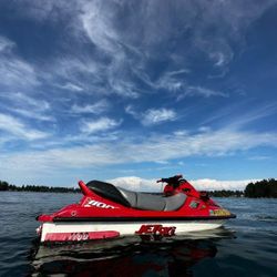 Free Of Salt 1998 Kawasaki 1100 stx