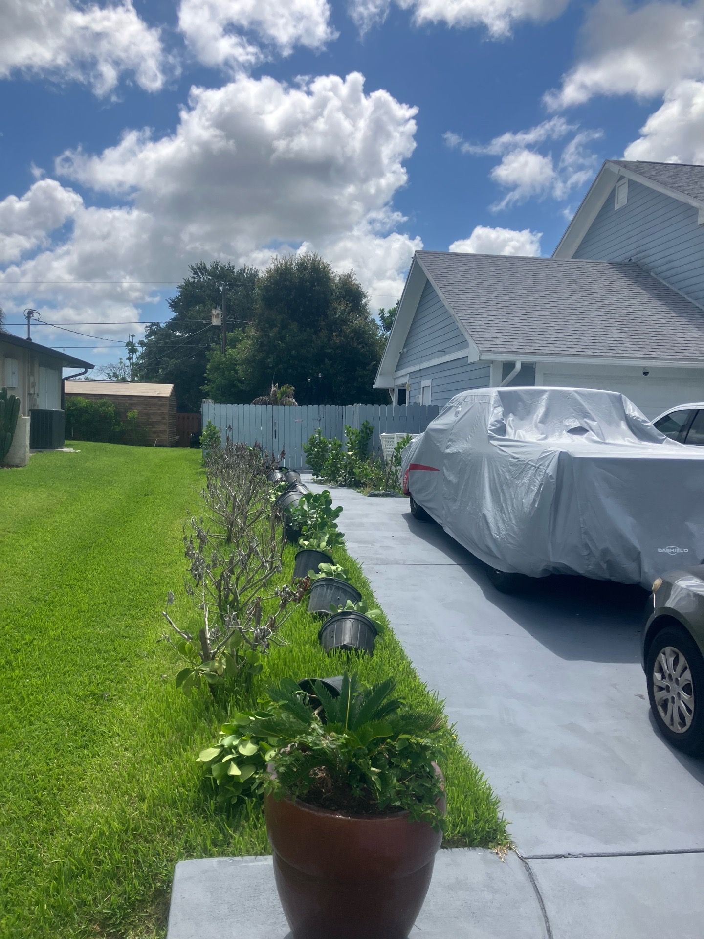 Clusias perfect for privacy
