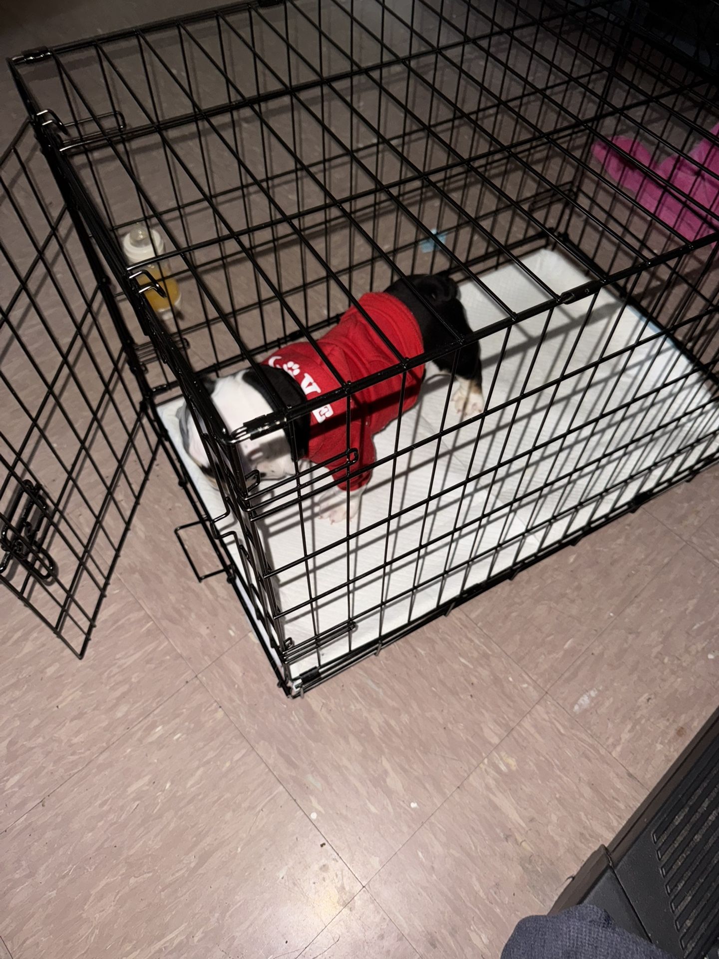 Dog Crate