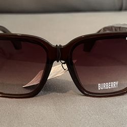 Sunglasses Women’s 