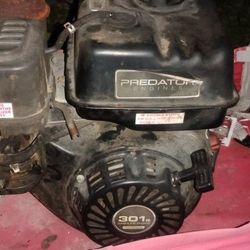 predator 301 cc engine runs great 