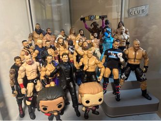 Wwe Action figure lot