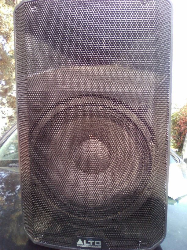 Alto Professional Speaker
