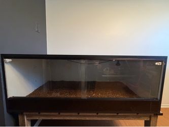 Reptile Terrarium