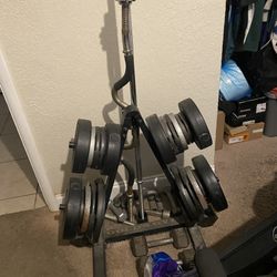 Weight Bench, Bench Bar, Carl Bar, Weights And Weight Holder