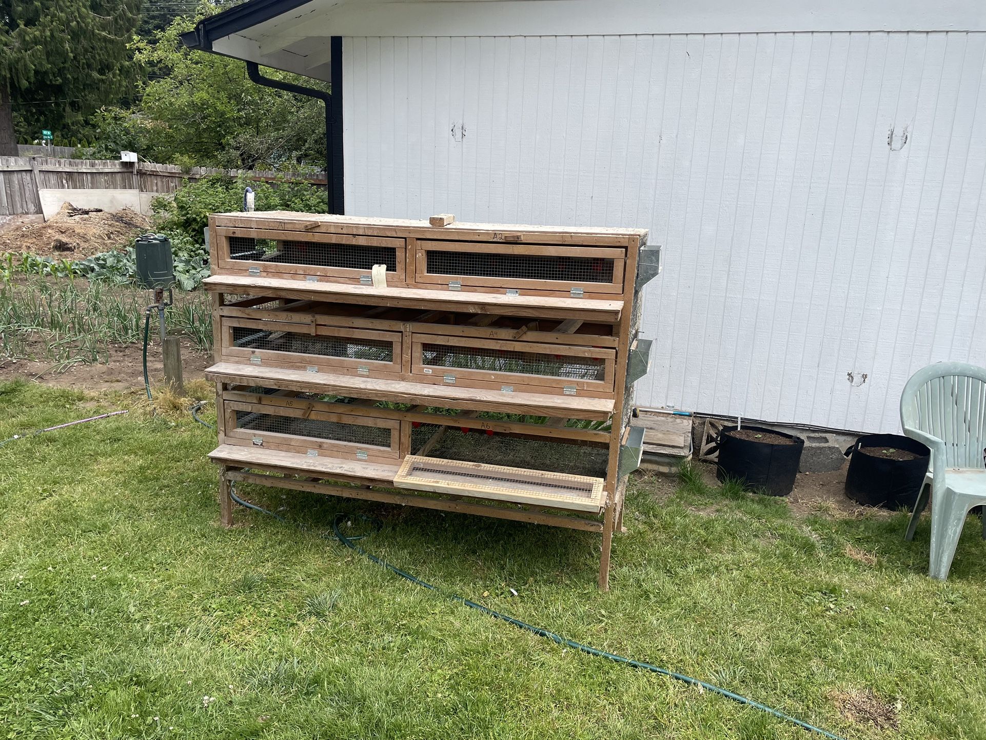 Wood Quail Cage
