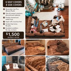 Lovesac Covers Only
