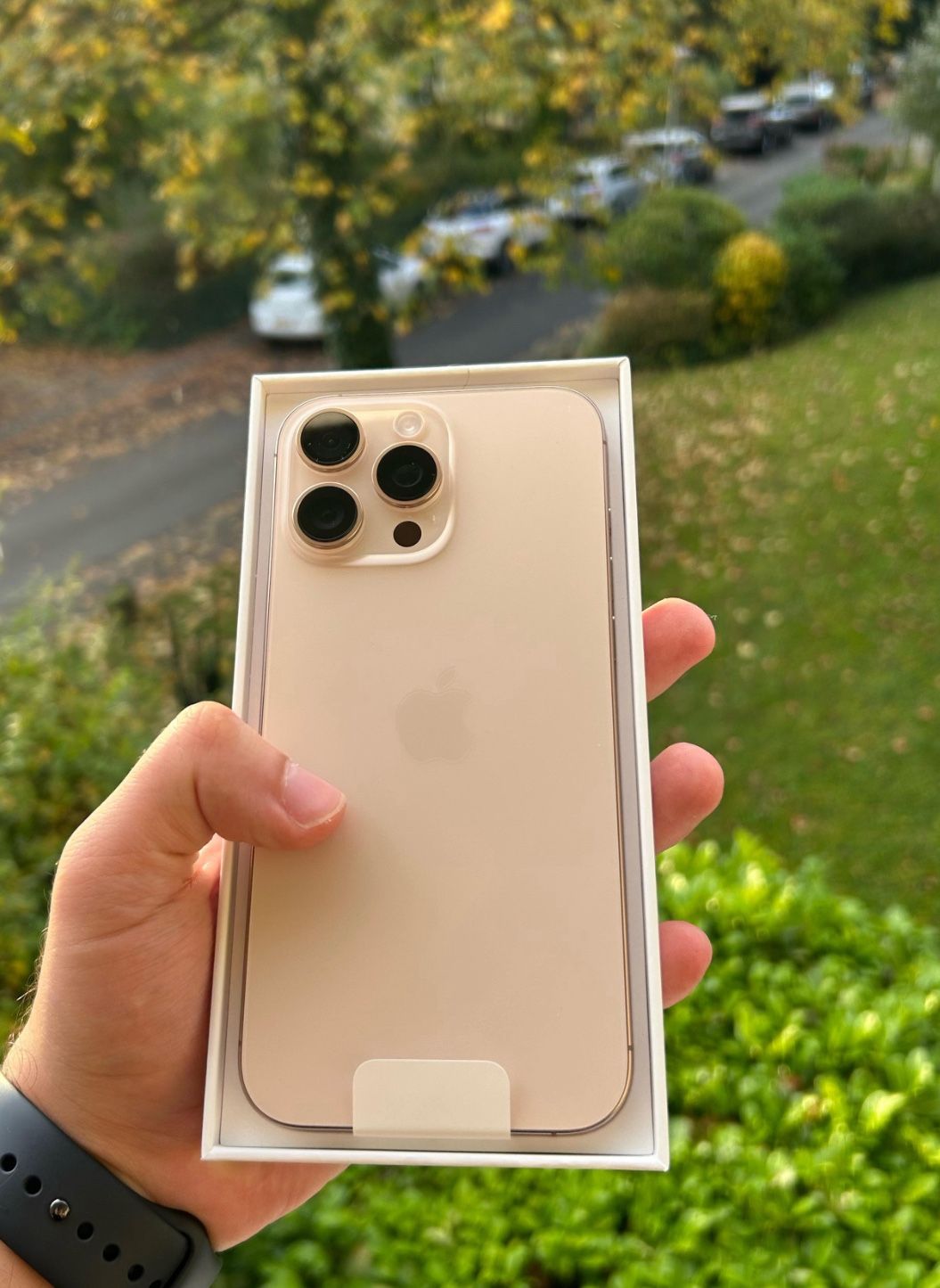 iPhone 16 Pro Max 