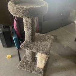 cat tower