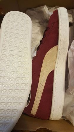 Pumas New