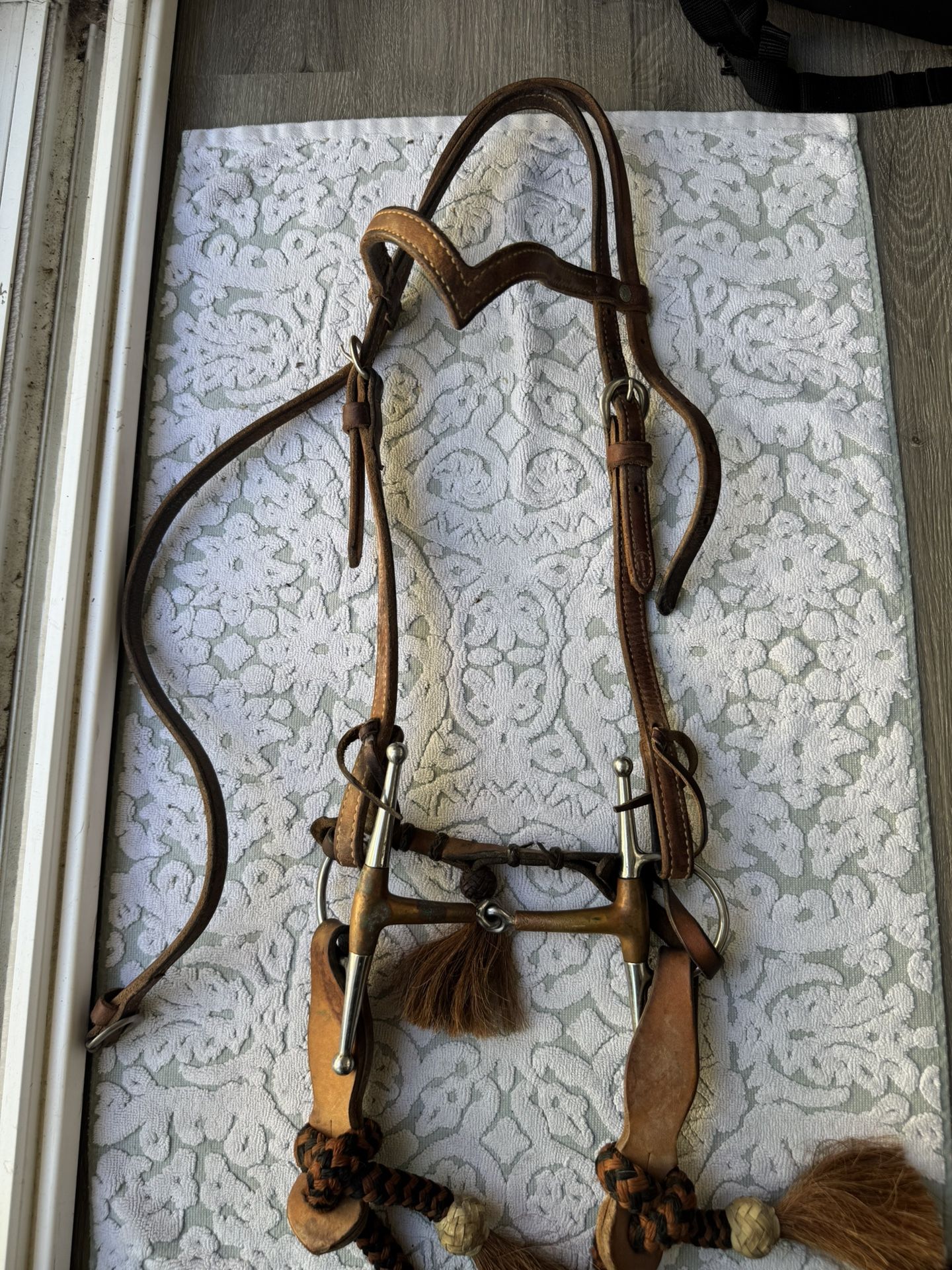 Western bridle bit and reins