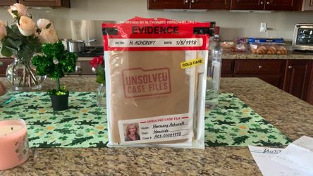 Unsolved Case File Puzzle Harmony Ashcroft Case