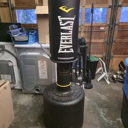 Everlast Powercore Bag