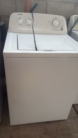 Bonita Labadora con garantía