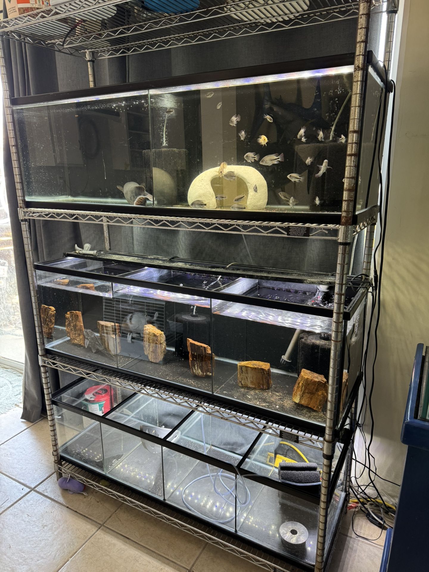 Fish Tank Aquarium 60 Gallon Tanks