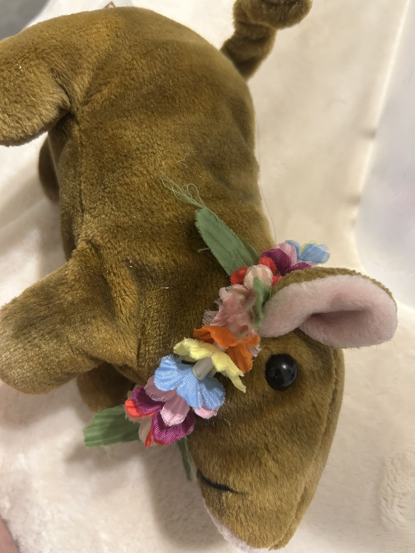 Hawaiian Pig Ty
