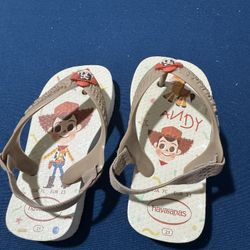 Brazilian Sandals Havaianas 