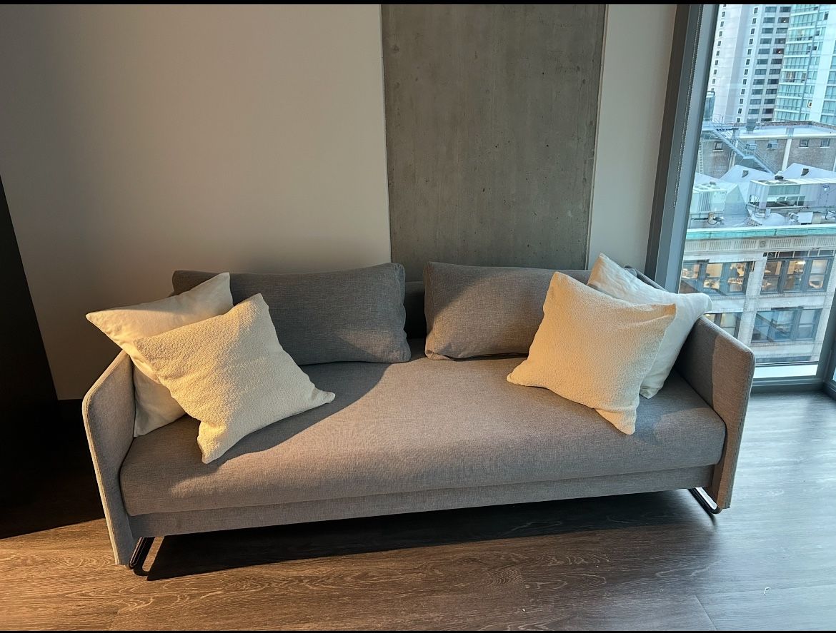 CB2 Sleeper Sofa
