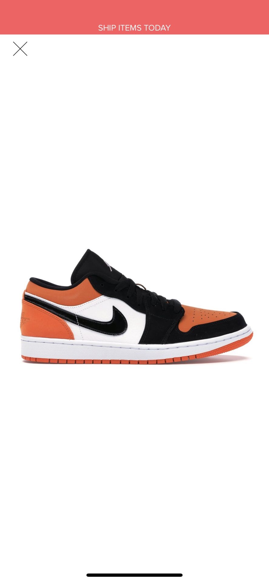 Jordan low shattered backboard size