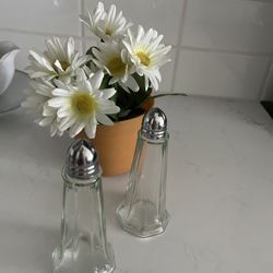 Salt And Pepper Shaker