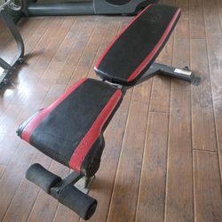Workout Bench Adjustable Back