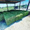 Waller grass Farms 