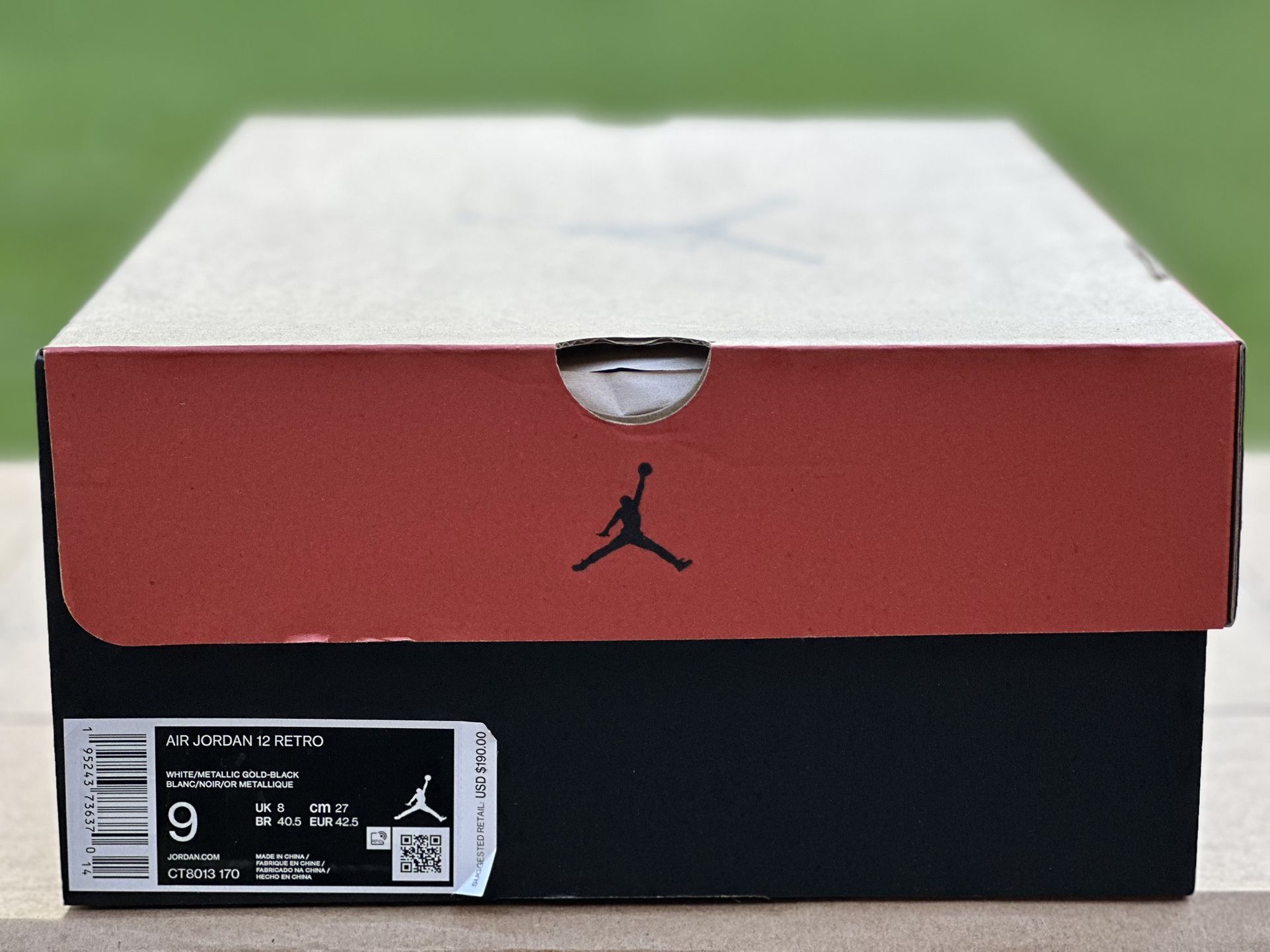 Air Jordan Retro 12 (Royalty)
