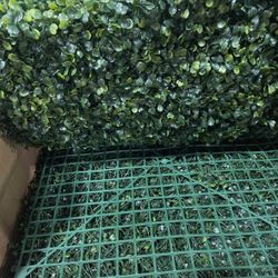 12 Panels Of Boxwood Greenery Backdrop