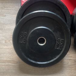 35lb Bumper Plate Set