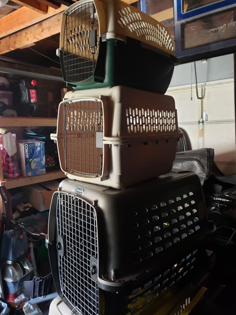 Dog kennel cage