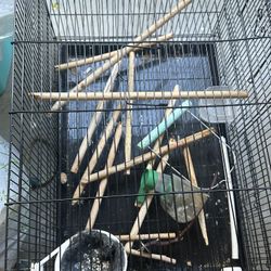 TAKE EVERYTHING FOR 100 BIRD CAGE ACCSESRORIES AND 4 NEST