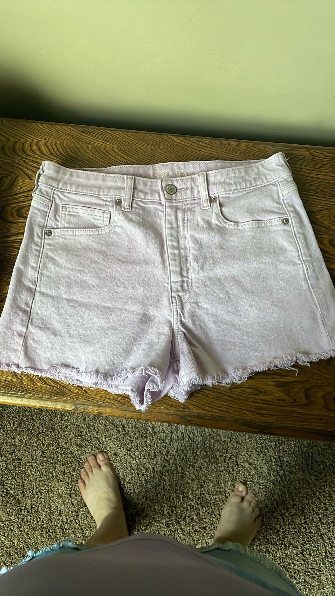 American Eagle Women Shorts Light Purple Size 6
