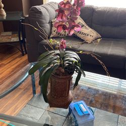 Hone Decor