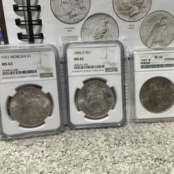 (3) Graded Morgan’s Silver Dollars 1884-O NGC MS63, 1921 $1 NGC MS63, 1921 $1 ANACS MS62 🔥 OPEN TO TRADES 🚀