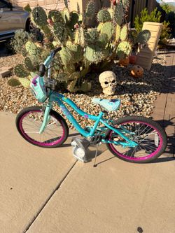 Schwinn Girls 20” Bike