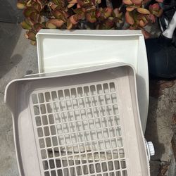 Pet feeding platform guinea pig