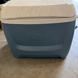 Igloo Cooler