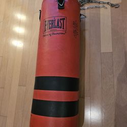 Punching Bag 40lb