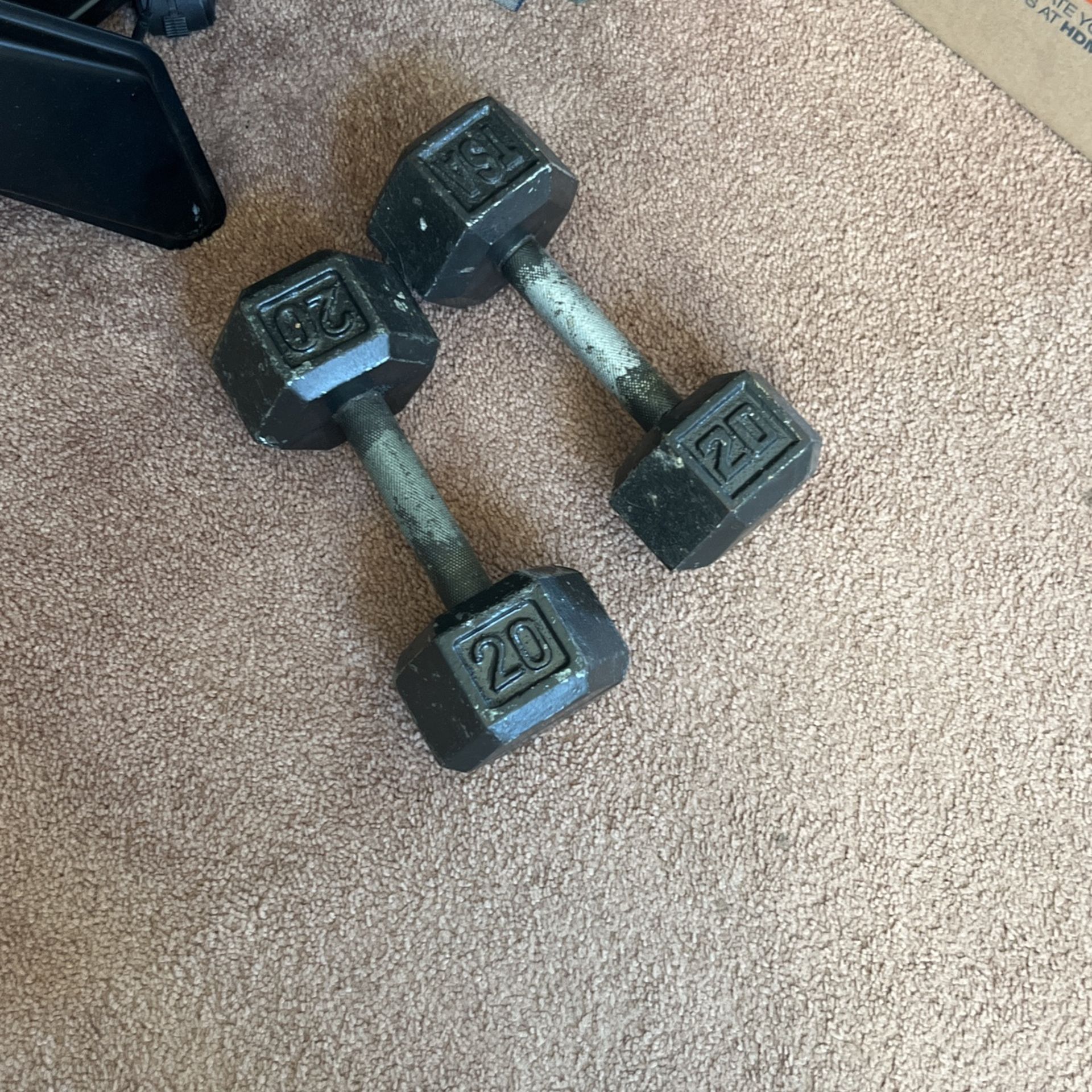 20 Pounds Lbs Dumbbells