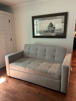 Sofa/ pull out queen bed