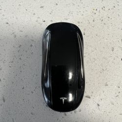 Tesla Model X 2021+ Key Fob
