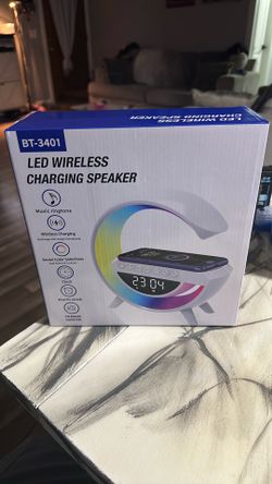 Multifunctional charger, lamp, alarm speaker radio