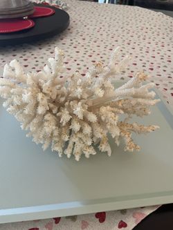 Natural White Coral 