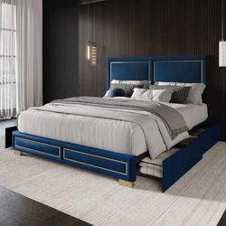 Carmalena Upholstered Platform Storage Bed Queen Size by Wade Logan